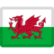 Flag for Wales (GB-WLS) emoji on Facebook